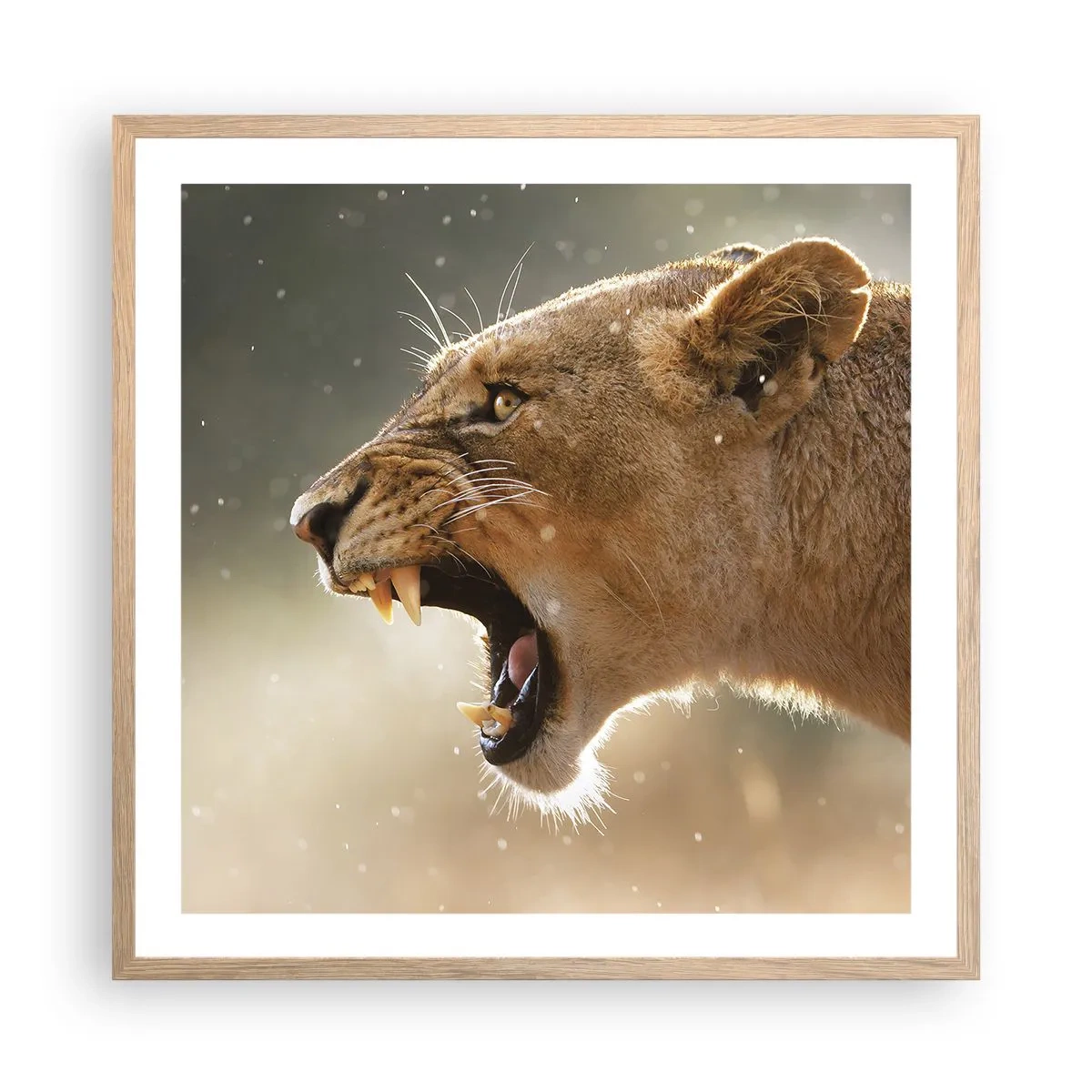 Pôster com moldura de carvalho claro - Tente não ouvir - 60x60 cm