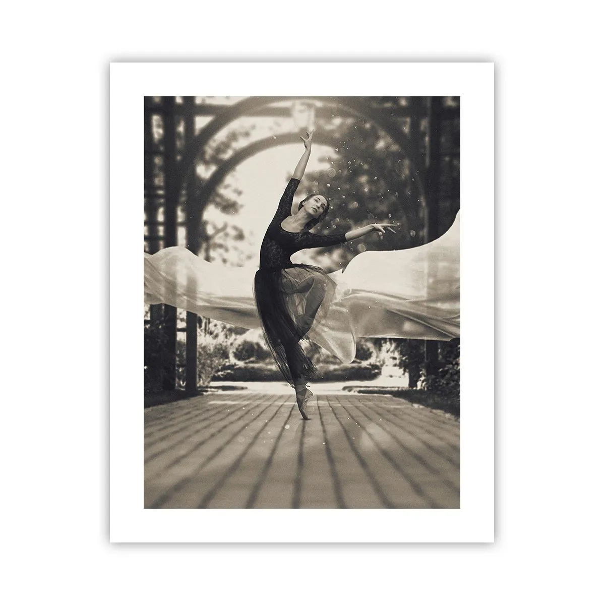 Pôster - A dança do espírito do jardim - 40x50 cm