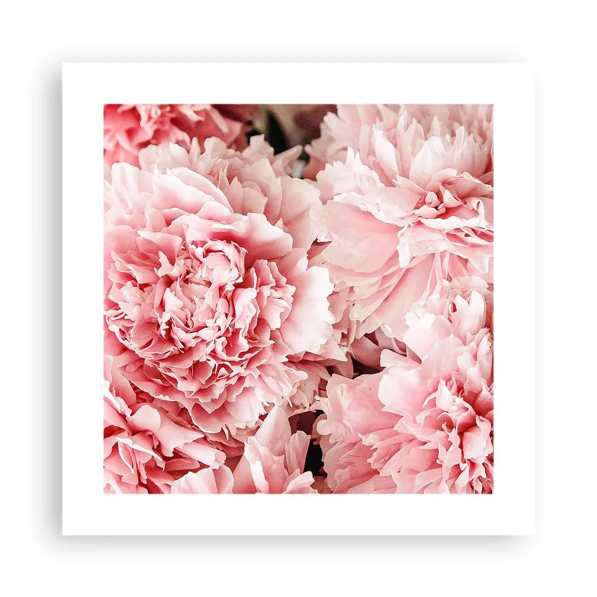 Pôster - Sonho rosa - 40x40 cm