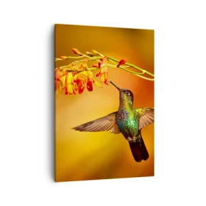 Quadro em tela - Mensageiro Maia da Luz - 50x70 cm