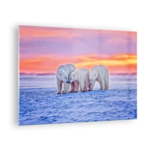 Quadro em vidro - Três ursos polares em um fundo nevado ao pôr do sol - 70x50cm - Tudo o que precisa é de aconchego familiar - Decoração de parede moderna para a sala de estar e quarto ARTTOR