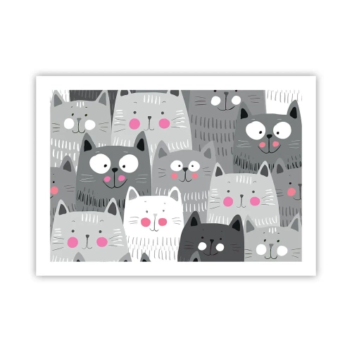 Pôster - O mundo dos gatos - 70x50 cm