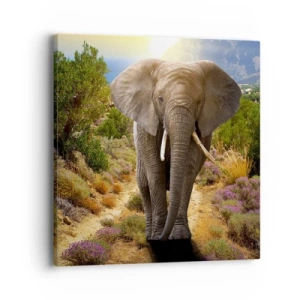 Quadro em tela - Assim era o Éden - 40x40 cm