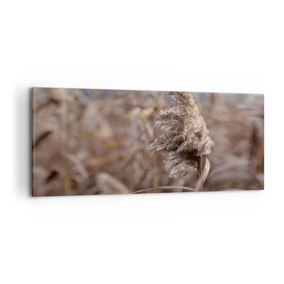 Quadro em tela - É hora de voar com o vento - 100x40 cm
