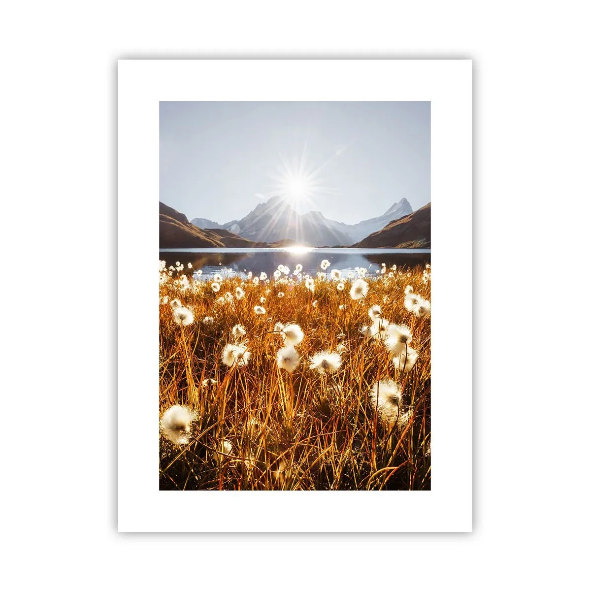 Pôster - Dureza da rocha, suavidade da relva - 30x40 cm