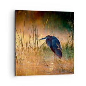 Quadro em tela - Já chega de fotos - 70x70 cm