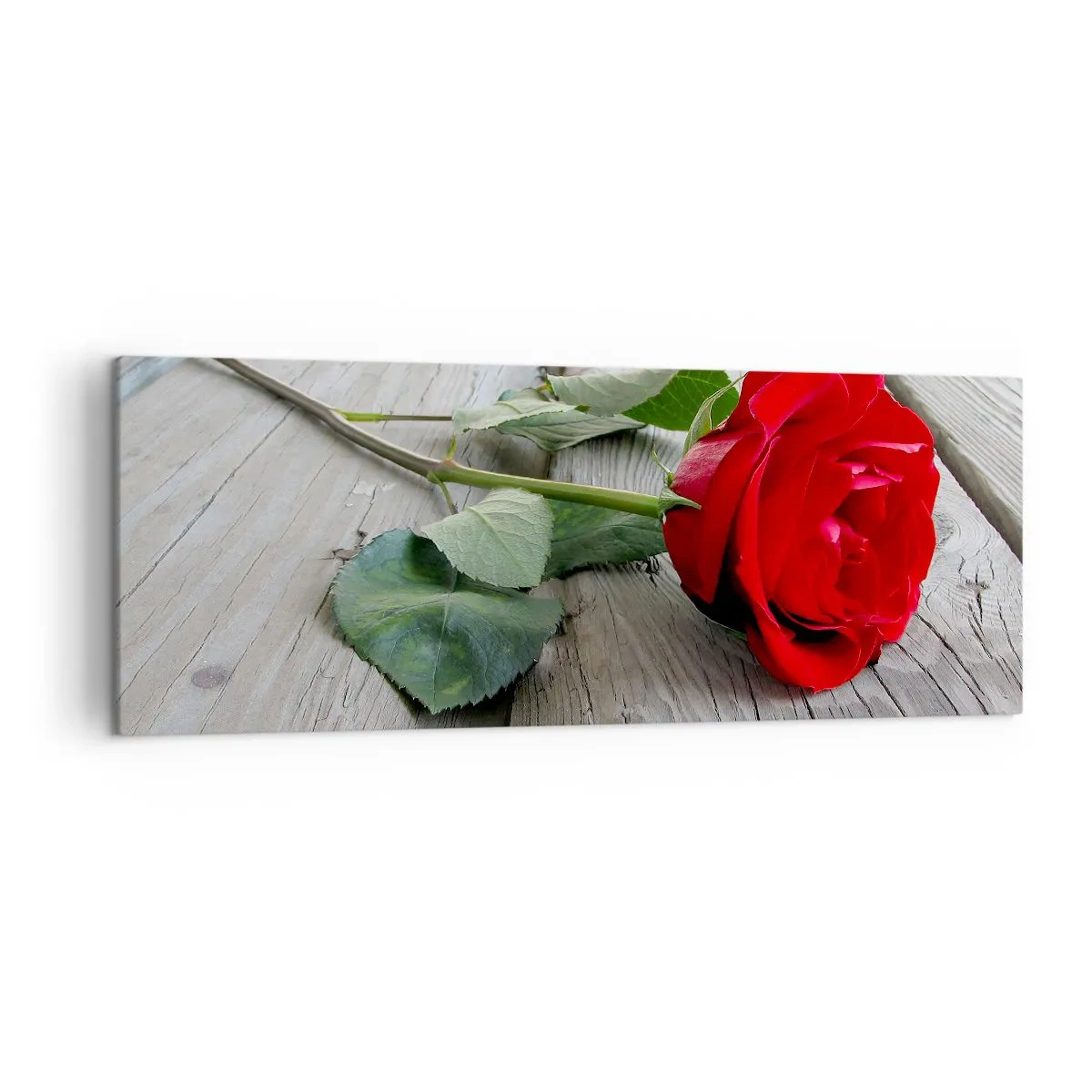 Quadro em tela - Um estudo em vermelho - 140x50 cm