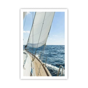 Pôster - Ahoy, aventura - 61x91 cm