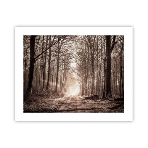 Pôster - Catedral na Floresta - 50x40 cm