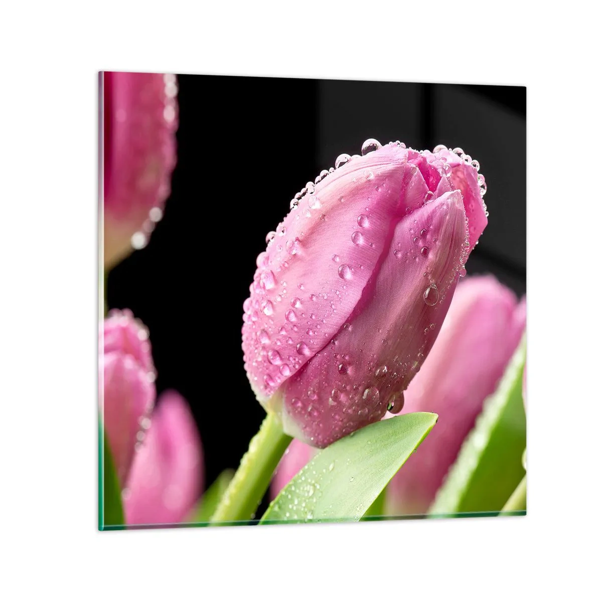 Quadro em vidro - Sonho lilás em orvalho - 40x40 cm