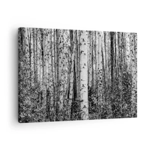 Quadro em tela - Bétulas pretas e brancas na floresta - 70x50cm - Colunata de bétula - Decoração de parede moderna para a sala de estar e quarto ARTTOR