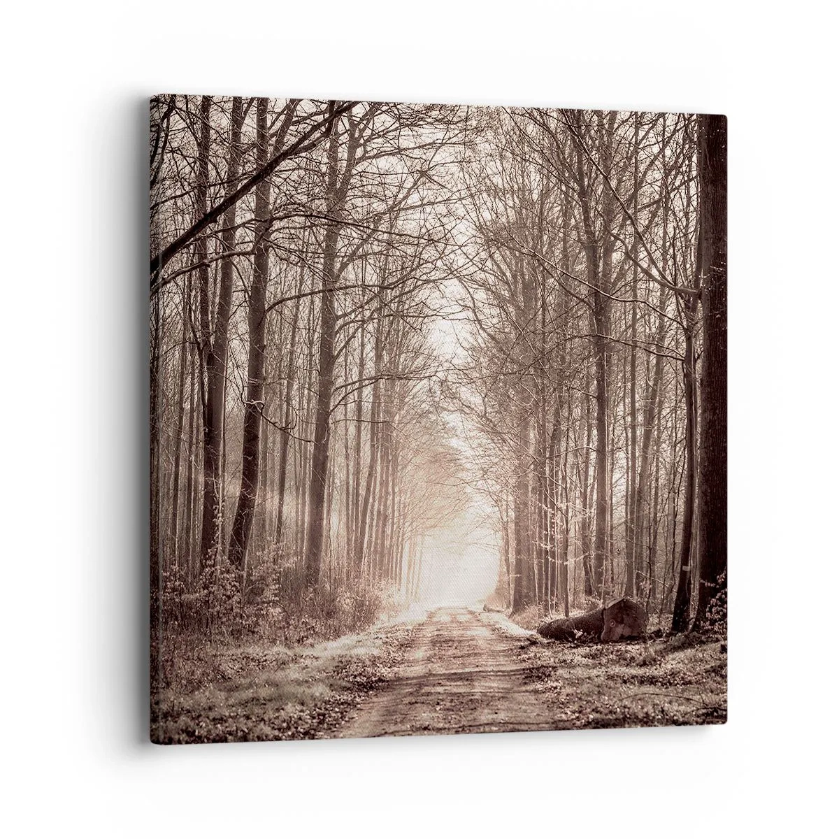 Quadro em tela - Catedral na Floresta - 40x40 cm