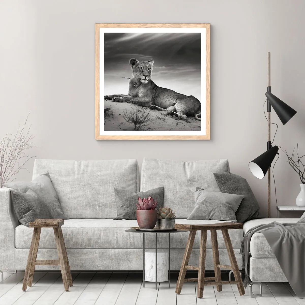 Pôster com moldura de carvalho claro - Descanso da Rainha do Deserto - 60x60 cm