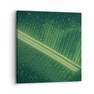 Quadro em tela - A estrutura da vegetação - 30x30 cm