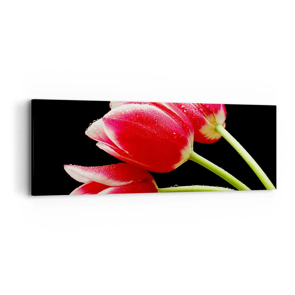 Quadro em tela - A promessa do amor puro - 90x30 cm