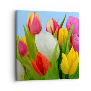 Quadro em tela - Arco-íris floral em gotas de orvalho - 40x40 cm