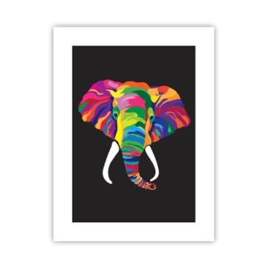 Pôster - O elefante que adorava banhar-se no arco-íris - 30x40 cm