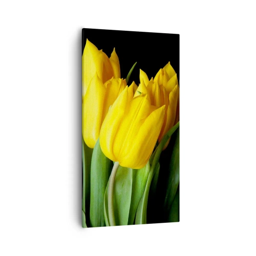 Quadro em tela - Feitas a partir do sol - 55x100 cm