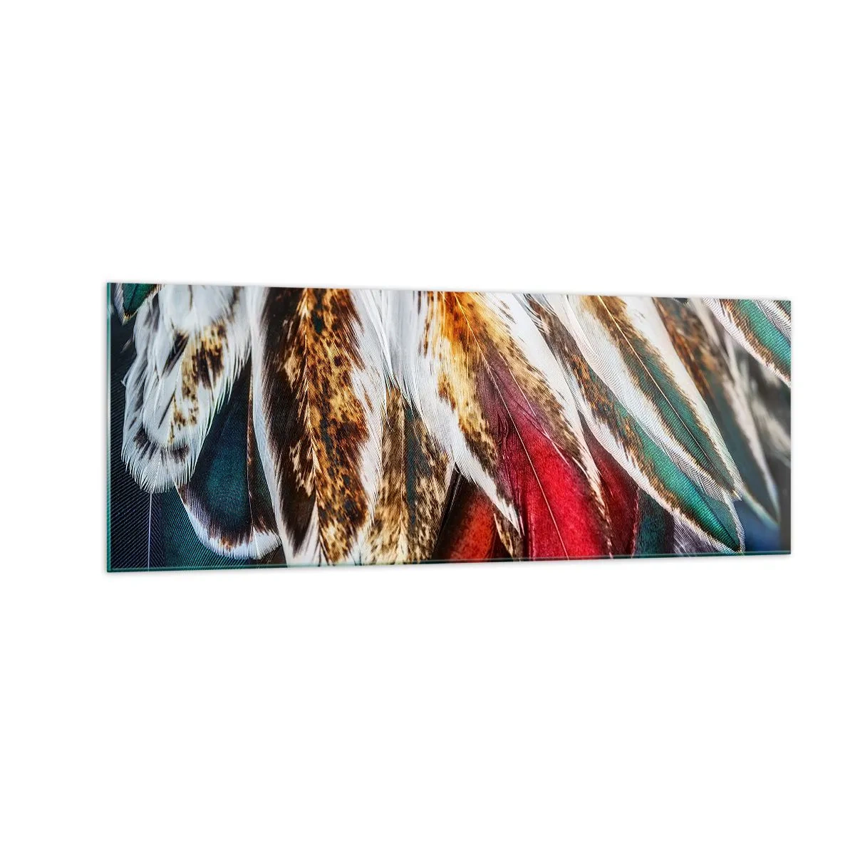 Quadro em vidro - Segredos de vôo - 140x50 cm