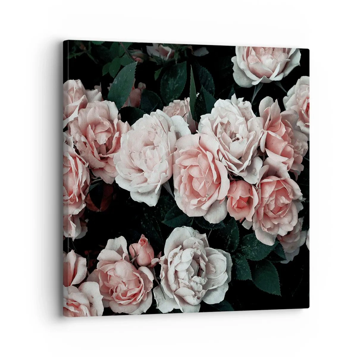 Quadro em tela - Conjuntos de rosas - 30x30 cm