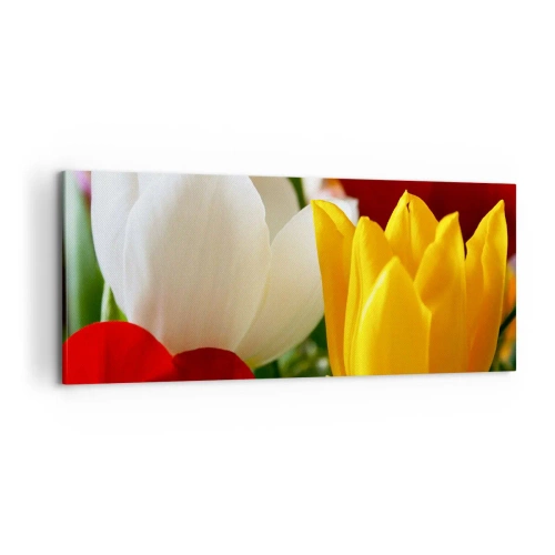 Quadro em tela - Febre das tulipas - 100x40 cm