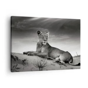 Quadro em tela - Retrato em preto e branco de uma leoa na savana - 70x50cm - Descanso da Rainha do Deserto - Decoração de parede moderna para a sala de estar e quarto ARTTOR