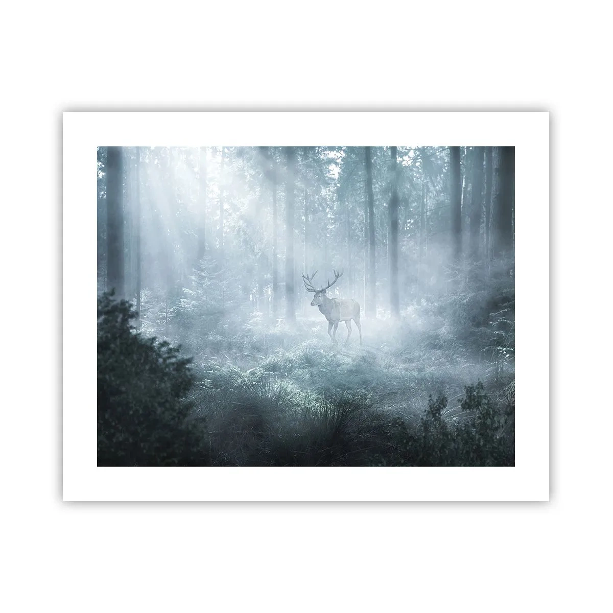 Pôster - Passeio matinal à volta da propriedade - 50x40 cm