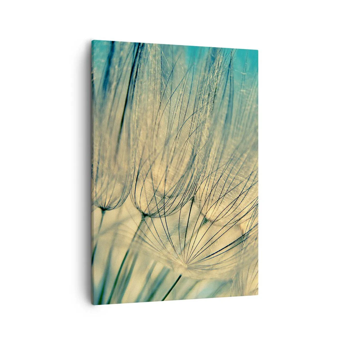 Quadro em tela - À espera do vento - 50x70 cm