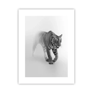 Pôster - À espreita na névoa - 30x40 cm