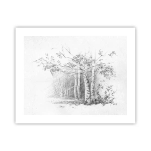Pôster - Luz da floresta de bétulas - 50x40 cm