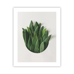 Pôster - Curiosidade indomável - 40x50 cm