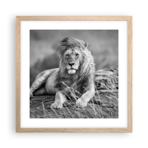 Pôster com moldura de carvalho claro - Sesta real - 40x40 cm