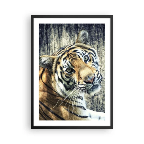 Pôster com moldura preta - Close-up de um tigre contra uma parede natural - 50x70cm - Retrato em feixes de luz - Decoração de parede moderna para a sala de estar e quarto ARTTOR