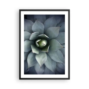 Pôster com moldura preta - Um close das folhas simétricas de uma suculenta em tons de verde. - 50x70cm - Atrai e adverte - Decoração de parede moderna para a sala de estar e quarto ARTTOR