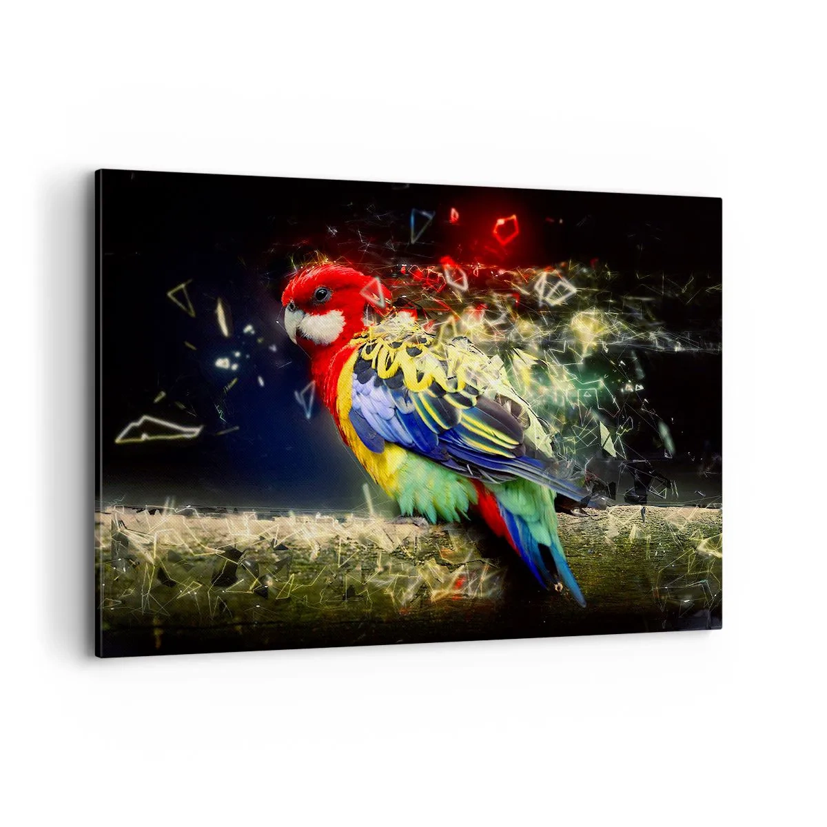 Quadro em tela - O mensageiro do Brilho - 120x80 cm