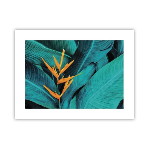 Pôster - Flor do Éden - 40x30 cm