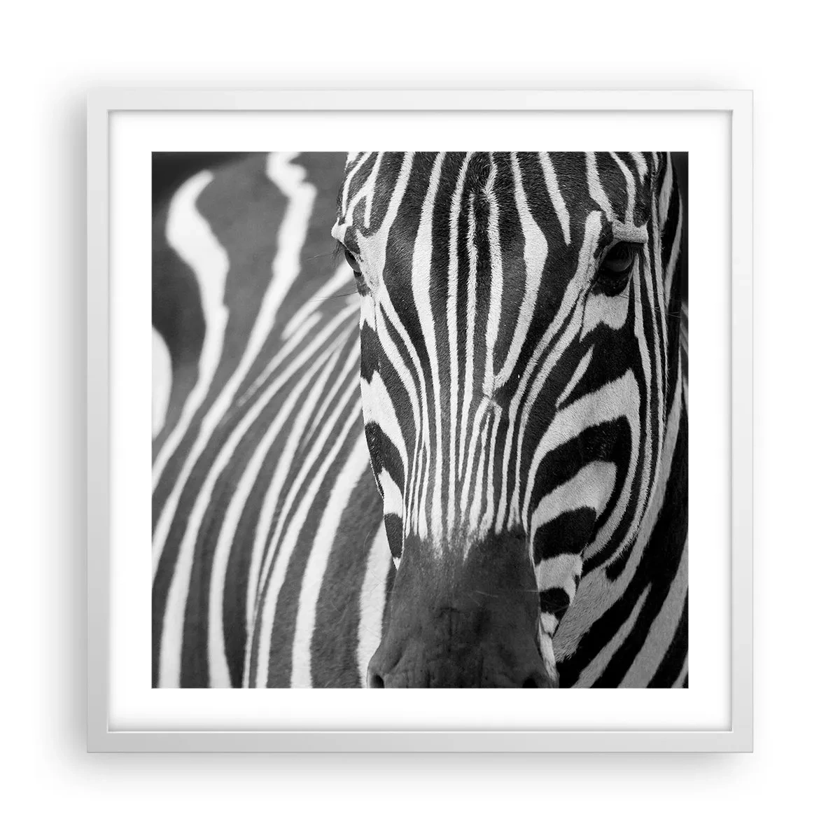 Pôster em moldura branca - O mundo é preto e branco - 50x50 cm