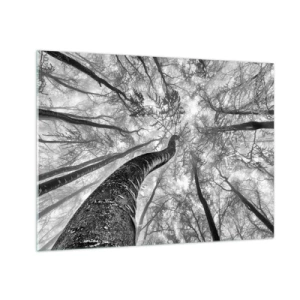 Quadro em vidro - Árvores em preto e branco fotografadas de baixo para cima em direção ao céu - 70x50cm - Corrida até a luz - Decoração de parede moderna para a sala de estar e quarto ARTTOR