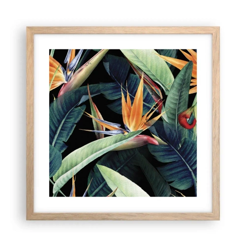 Pôster com moldura de carvalho claro - Flores ardentes dos trópicos - 40x40 cm