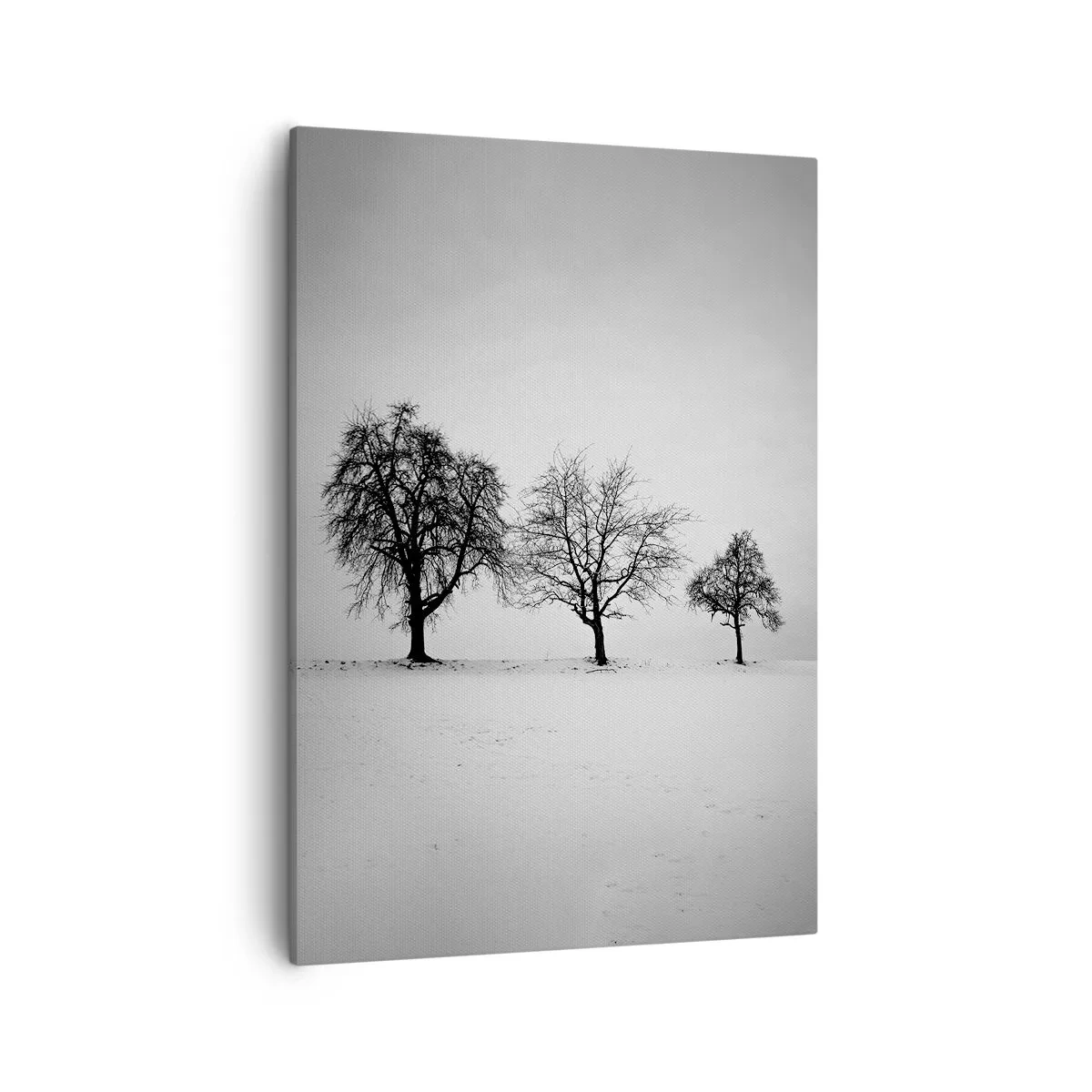 Quadro em tela - Com que sonham elas? - 50x70 cm
