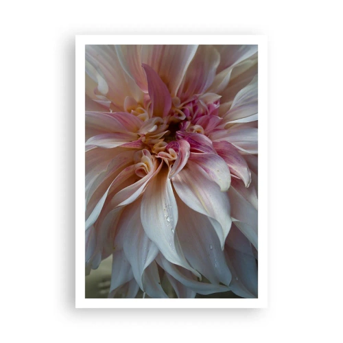 Pôster - Frescor florescente - 70x100 cm