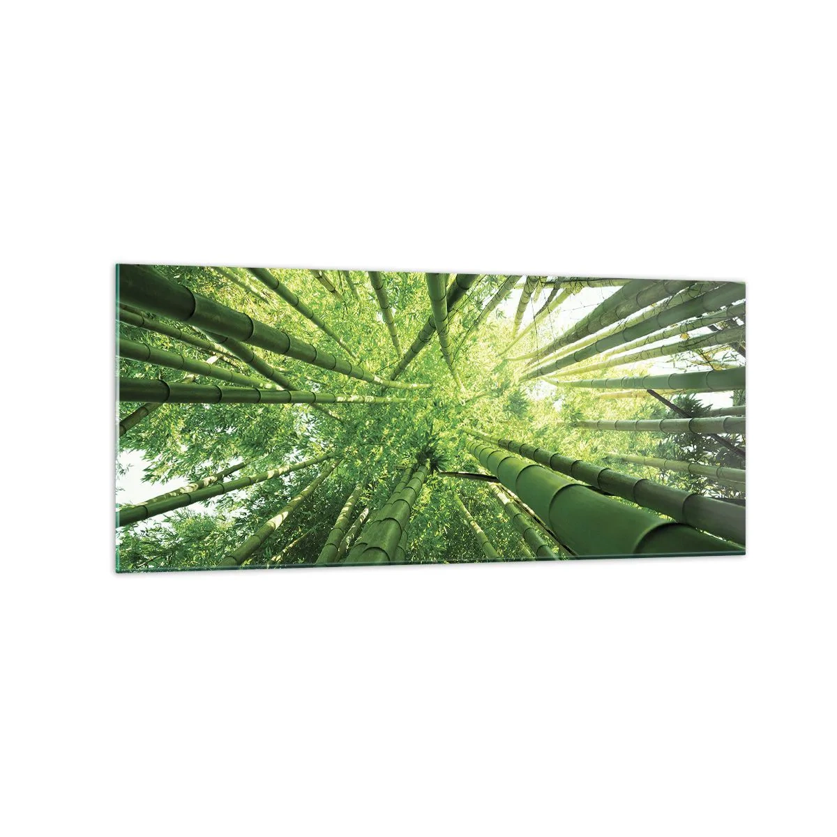 Quadro em vidro - Em um bosque de bambu - 120x50 cm