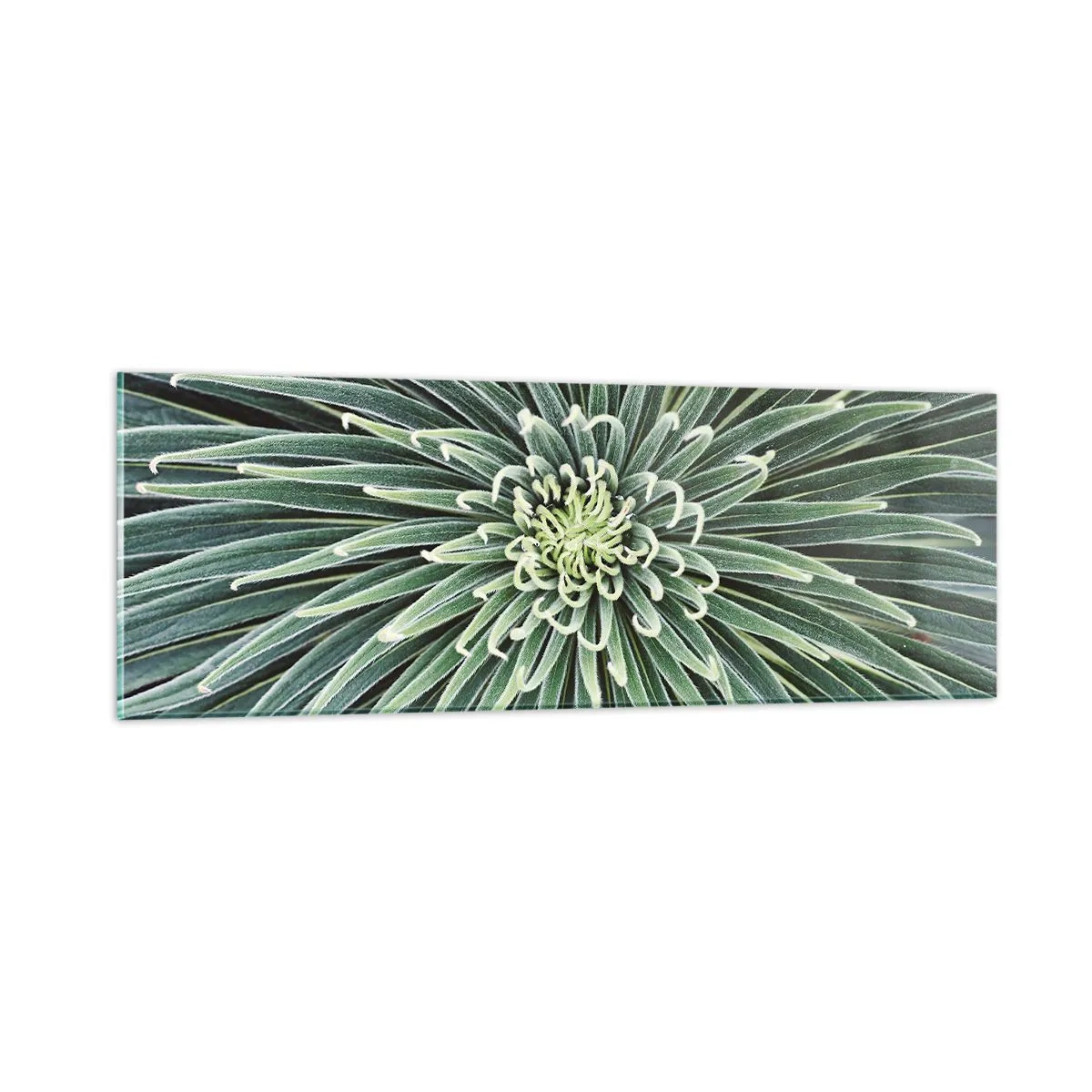 Quadro em vidro - Nasce uma estrela - 90x30 cm