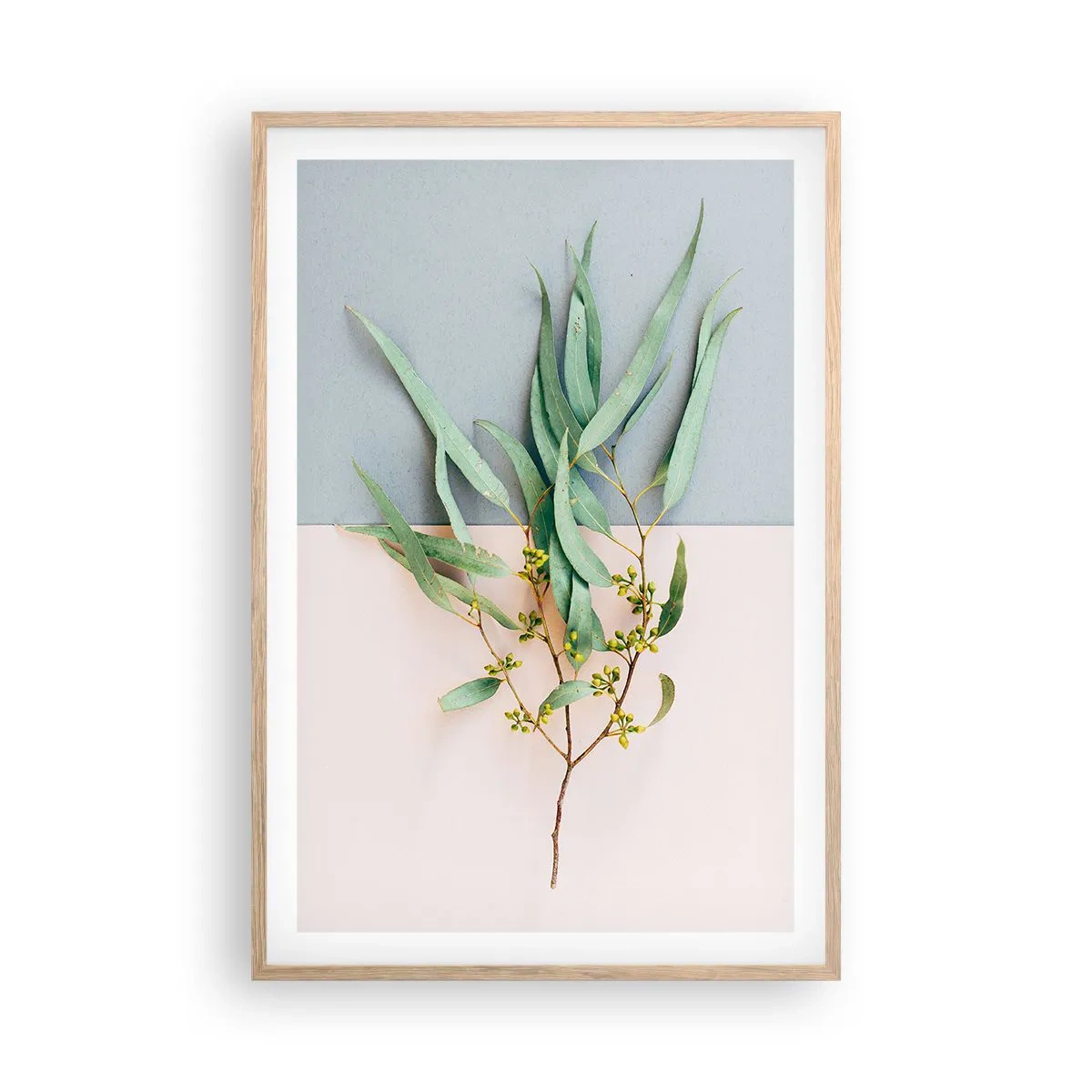 Pôster com moldura de carvalho claro - Sutileza pastel - 61x91 cm
