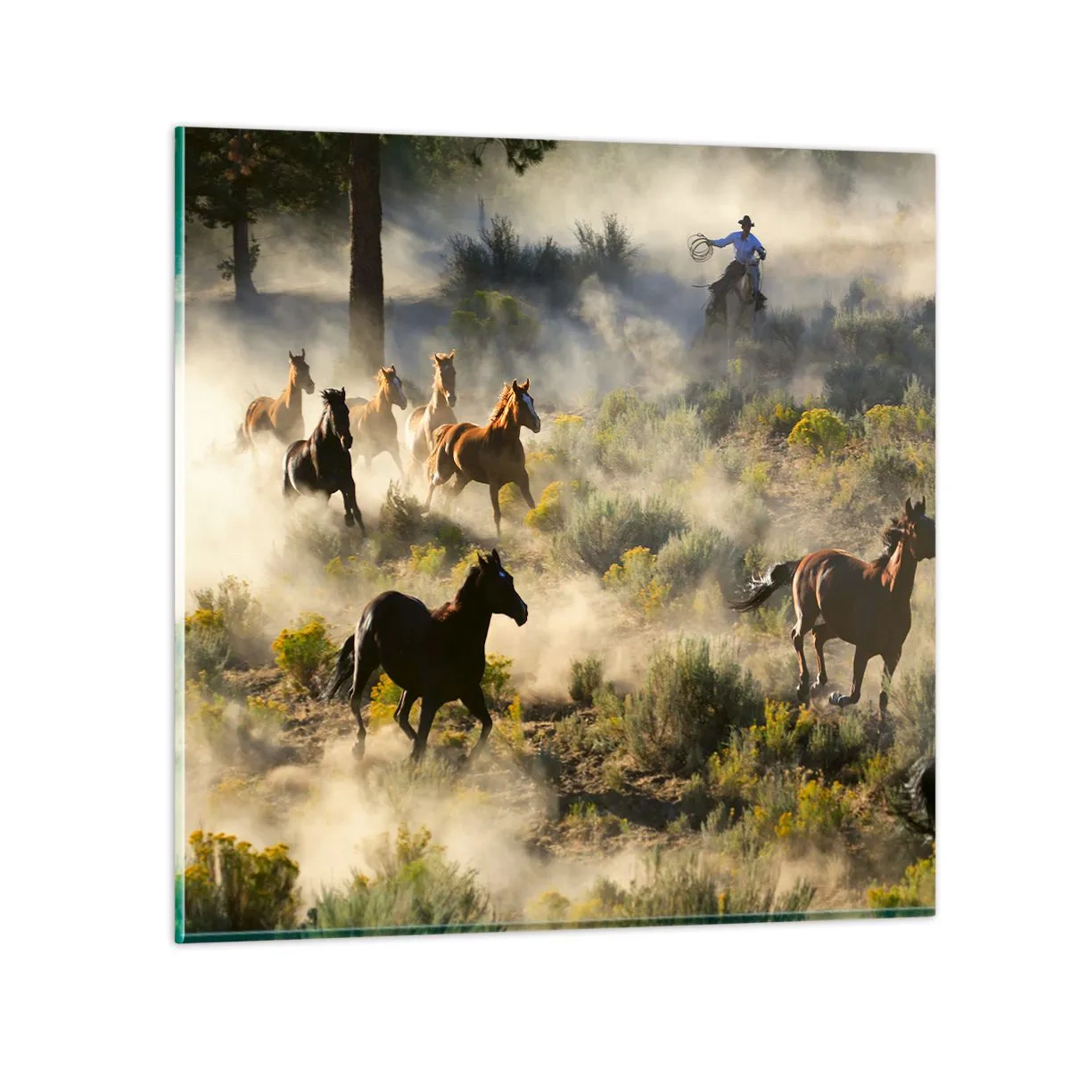 Quadro em vidro - Competição - liberdade ou força masculina? - 70x70 cm