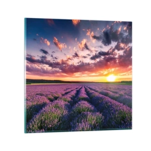 Quadro em vidro - O mundo da lavanda - 60x60 cm