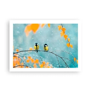 Pôster - Fofoca de pássaros - 70x50 cm