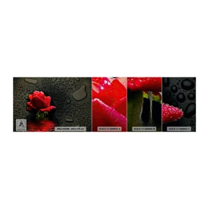 Amostra de papel de parede Premium Sand - Vermelho e preto - Flores, Rosa, Água - 100x30 cm