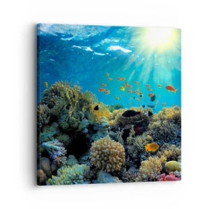 Quadro em tela - Tesouros subaquáticos - 30x30 cm