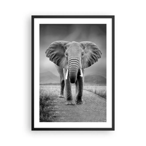 Pôster com moldura preta - Um elefante contra uma paisagem africana em preto e branco - 50x70cm - O anfitrião dá as boas-vindas - Decoração de parede moderna para a sala de estar e quarto ARTTOR